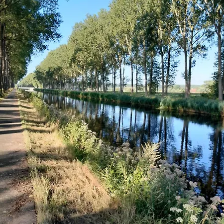 Schardauw * Damme