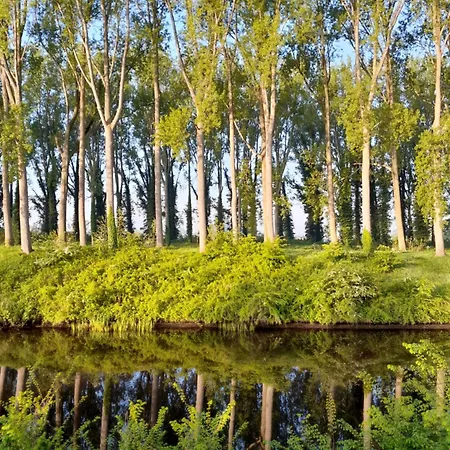 Schardauw Semesterbostad